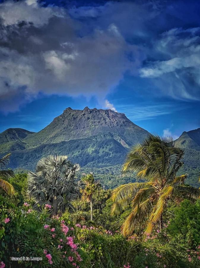Vue Exclusive Mer Et Volcan, Village Vacances Avec Plage Et Piscine, Les Gwadastudios Sainte-Anne  Exterior foto