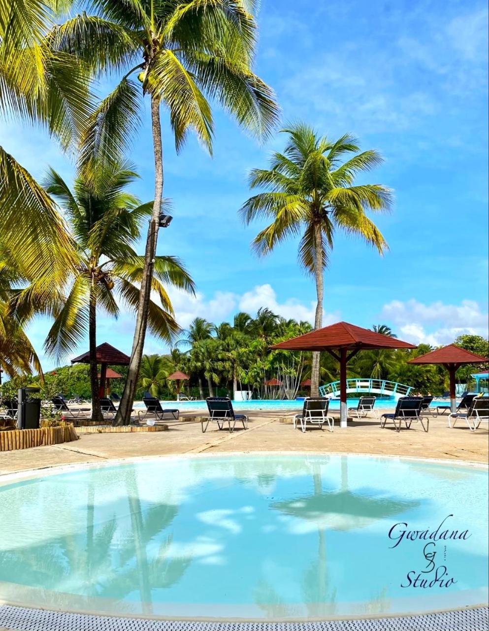 Vue Exclusive Mer Et Volcan, Village Vacances Avec Plage Et Piscine, Les Gwadastudios Sainte-Anne  Exterior foto